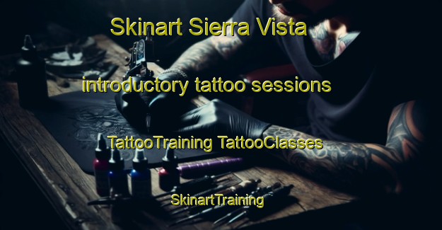 Skinart Sierra Vista introductory tattoo sessions | #TattooTraining #TattooClasses #SkinartTraining-Mexico