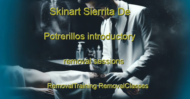 Skinart Sierrita De Potrerillos introductory removal sessions | #RemovalTraining #RemovalClasses #SkinartTraining-Mexico