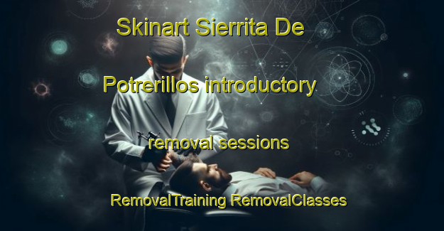 Skinart Sierrita De Potrerillos introductory removal sessions | #RemovalTraining #RemovalClasses #SkinartTraining-Mexico