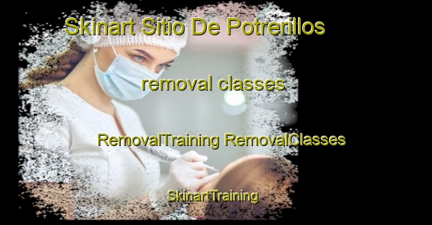 Skinart Sitio De Potrerillos removal classes | #RemovalTraining #RemovalClasses #SkinartTraining-Mexico