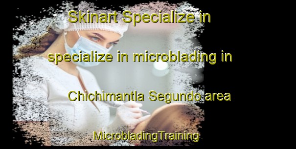 Skinart Specialize in specialize in microblading in Chichimantla Segundo area | #MicrobladingTraining #MicrobladingClasses #SkinartTraining-Mexico