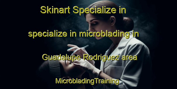 Skinart Specialize in specialize in microblading in Guadalupe Rodriguez area | #MicrobladingTraining #MicrobladingClasses #SkinartTraining-Mexico