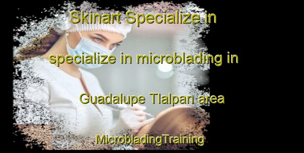 Skinart Specialize in specialize in microblading in Guadalupe Tlalpan area | #MicrobladingTraining #MicrobladingClasses #SkinartTraining-Mexico