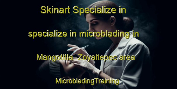 Skinart Specialize in specialize in microblading in Mangotitla  Zoyaltepec area | #MicrobladingTraining #MicrobladingClasses #SkinartTraining-Mexico