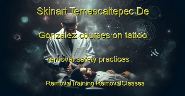 Skinart Temascaltepec De Gonzalez courses on tattoo removal safety practices | #RemovalTraining #RemovalClasses #SkinartTraining-Mexico