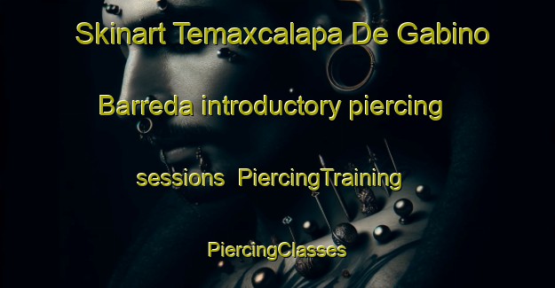 Skinart Temaxcalapa De Gabino Barreda introductory piercing sessions | #PiercingTraining #PiercingClasses #SkinartTraining-Mexico