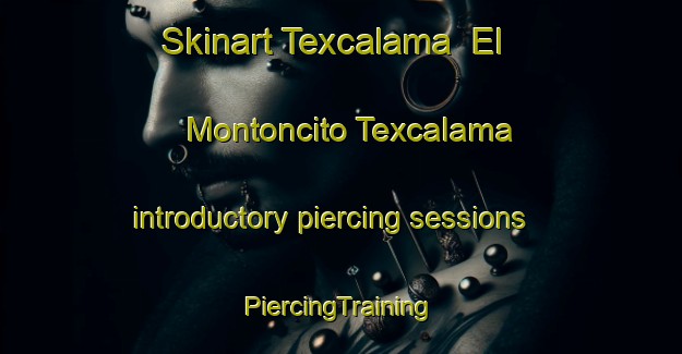 Skinart Texcalama  El Montoncito Texcalama introductory piercing sessions | #PiercingTraining #PiercingClasses #SkinartTraining-Mexico