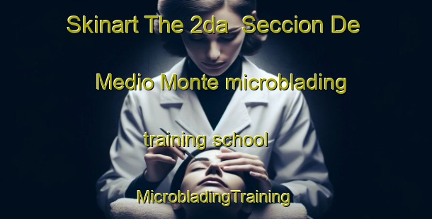 Skinart The 2da  Seccion De Medio Monte microblading training school | #MicrobladingTraining #MicrobladingClasses #SkinartTraining-Mexico