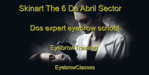 Skinart The 6 De Abril Sector Dos expert eyebrow school | EyebrowTraining | EyebrowClasses | SkinartTraining-Mexico
