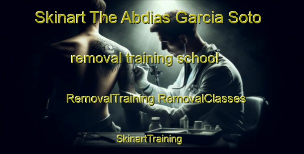 Skinart The Abdias Garcia Soto removal training school | #RemovalTraining #RemovalClasses #SkinartTraining-Mexico