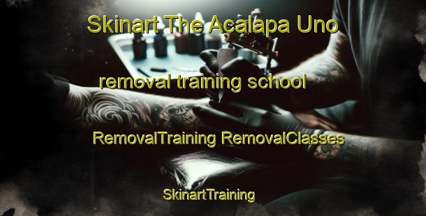 Skinart The Acalapa Uno removal training school | #RemovalTraining #RemovalClasses #SkinartTraining-Mexico