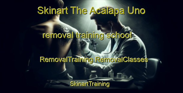 Skinart The Acalapa Uno removal training school | #RemovalTraining #RemovalClasses #SkinartTraining-Mexico