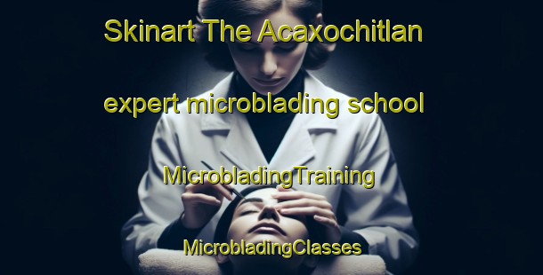 Skinart The Acaxochitlan expert microblading school | #MicrobladingTraining #MicrobladingClasses #SkinartTraining-Mexico