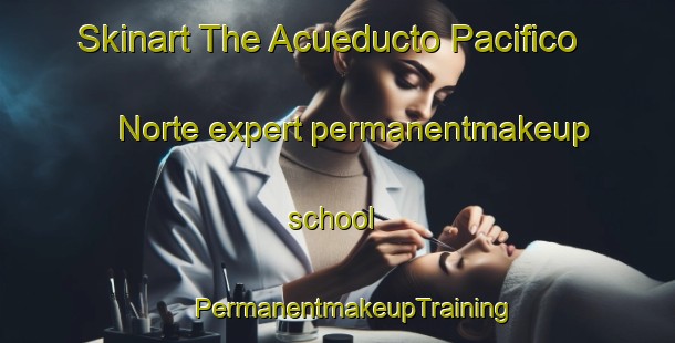 Skinart The Acueducto Pacifico Norte expert permanentmakeup school | #PermanentmakeupTraining #PermanentmakeupClasses #SkinartTraining-Mexico