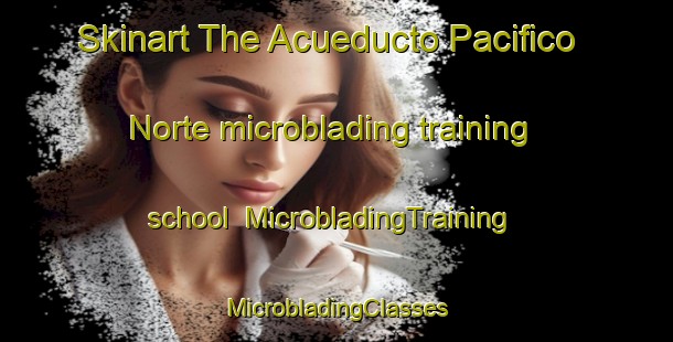 Skinart The Acueducto Pacifico Norte microblading training school | #MicrobladingTraining #MicrobladingClasses #SkinartTraining-Mexico