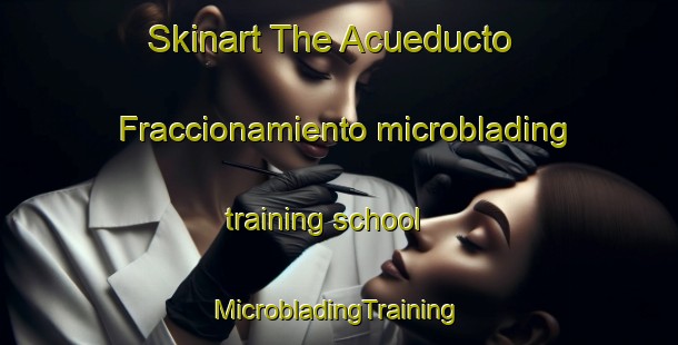 Skinart The Acueducto  Fraccionamiento microblading training school | #MicrobladingTraining #MicrobladingClasses #SkinartTraining-Mexico