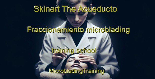 Skinart The Acueducto  Fraccionamiento microblading training school | #MicrobladingTraining #MicrobladingClasses #SkinartTraining-Mexico