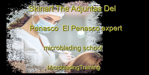 Skinart The Adjuntas Del Penasco  El Penasco expert microblading school | #MicrobladingTraining #MicrobladingClasses #SkinartTraining-Mexico