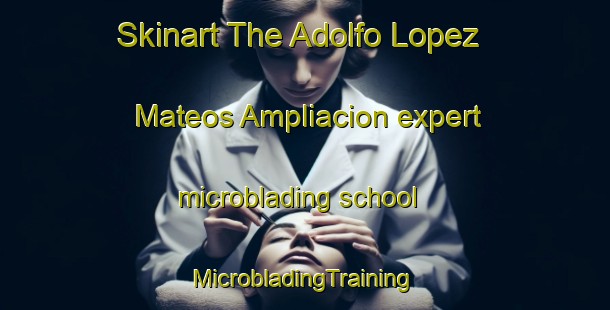 Skinart The Adolfo Lopez Mateos Ampliacion expert microblading school | #MicrobladingTraining #MicrobladingClasses #SkinartTraining-Mexico