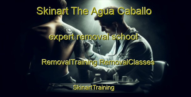 Skinart The Agua Caballo expert removal school | #RemovalTraining #RemovalClasses #SkinartTraining-Mexico