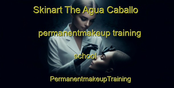 Skinart The Agua Caballo permanentmakeup training school | #PermanentmakeupTraining #PermanentmakeupClasses #SkinartTraining-Mexico