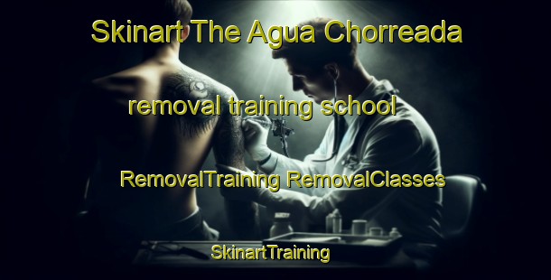 Skinart The Agua Chorreada removal training school | #RemovalTraining #RemovalClasses #SkinartTraining-Mexico