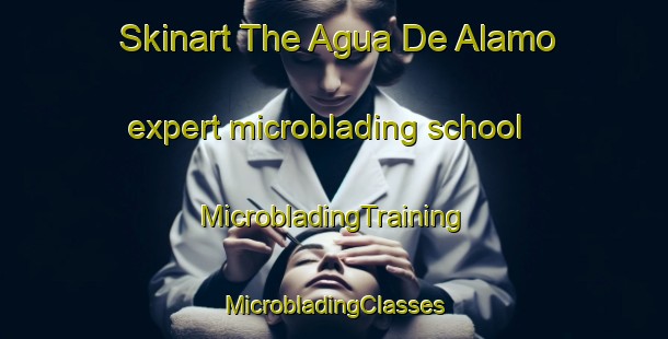 Skinart The Agua De Alamo expert microblading school | #MicrobladingTraining #MicrobladingClasses #SkinartTraining-Mexico