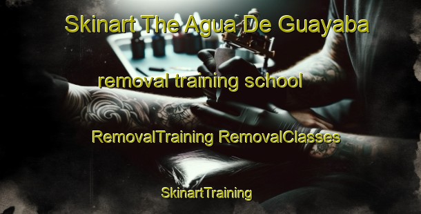 Skinart The Agua De Guayaba removal training school | #RemovalTraining #RemovalClasses #SkinartTraining-Mexico