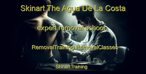 Skinart The Agua De La Costa expert removal school | #RemovalTraining #RemovalClasses #SkinartTraining-Mexico