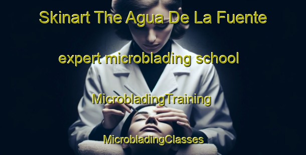 Skinart The Agua De La Fuente expert microblading school | #MicrobladingTraining #MicrobladingClasses #SkinartTraining-Mexico