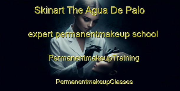 Skinart The Agua De Palo expert permanentmakeup school | #PermanentmakeupTraining #PermanentmakeupClasses #SkinartTraining-Mexico