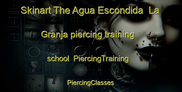 Skinart The Agua Escondida  La Granja piercing training school | #PiercingTraining #PiercingClasses #SkinartTraining-Mexico