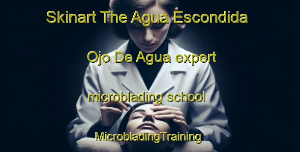 Skinart The Agua Escondida  Ojo De Agua expert microblading school | #MicrobladingTraining #MicrobladingClasses #SkinartTraining-Mexico