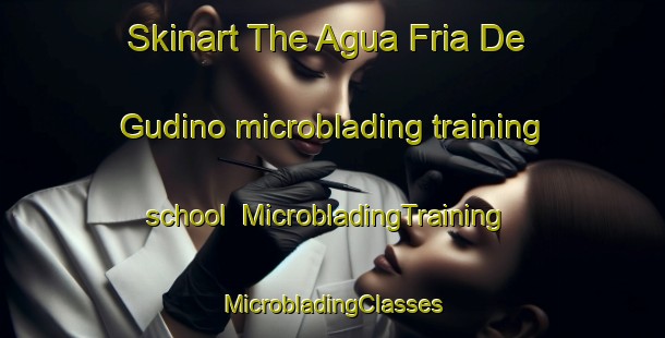 Skinart The Agua Fria De Gudino microblading training school | #MicrobladingTraining #MicrobladingClasses #SkinartTraining-Mexico