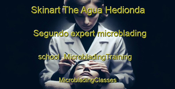 Skinart The Agua Hedionda Segundo expert microblading school | #MicrobladingTraining #MicrobladingClasses #SkinartTraining-Mexico