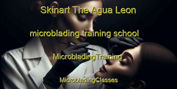 Skinart The Agua Leon microblading training school | #MicrobladingTraining #MicrobladingClasses #SkinartTraining-Mexico