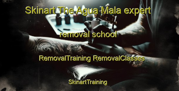 Skinart The Agua Mala expert removal school | #RemovalTraining #RemovalClasses #SkinartTraining-Mexico