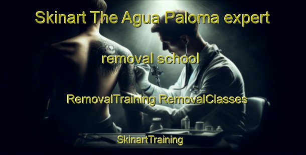 Skinart The Agua Paloma expert removal school | #RemovalTraining #RemovalClasses #SkinartTraining-Mexico