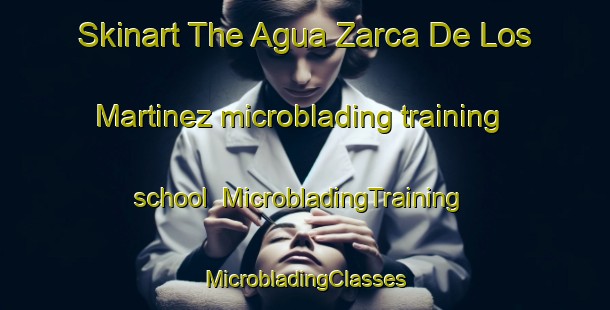 Skinart The Agua Zarca De Los Martinez microblading training school | #MicrobladingTraining #MicrobladingClasses #SkinartTraining-Mexico