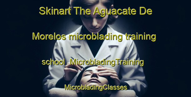 Skinart The Aguacate De Morelos microblading training school | #MicrobladingTraining #MicrobladingClasses #SkinartTraining-Mexico