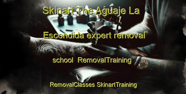 Skinart The Aguaje La Escondida expert removal school | #RemovalTraining #RemovalClasses #SkinartTraining-Mexico