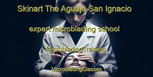 Skinart The Aguaje San Ignacio expert microblading school | #MicrobladingTraining #MicrobladingClasses #SkinartTraining-Mexico