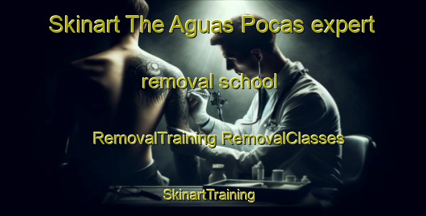 Skinart The Aguas Pocas expert removal school | #RemovalTraining #RemovalClasses #SkinartTraining-Mexico