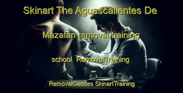 Skinart The Aguascalientes De Mazatan removal training school | #RemovalTraining #RemovalClasses #SkinartTraining-Mexico