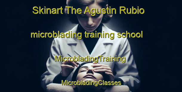 Skinart The Agustin Rubio microblading training school | #MicrobladingTraining #MicrobladingClasses #SkinartTraining-Mexico