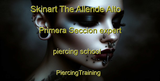 Skinart The Allende Alto Primera Seccion expert piercing school | #PiercingTraining #PiercingClasses #SkinartTraining-Mexico