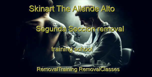 Skinart The Allende Alto Segunda Seccion removal training school | #RemovalTraining #RemovalClasses #SkinartTraining-Mexico