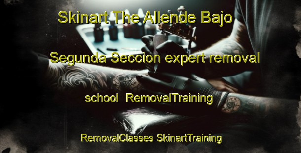 Skinart The Allende Bajo Segunda Seccion expert removal school | #RemovalTraining #RemovalClasses #SkinartTraining-Mexico