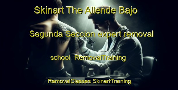 Skinart The Allende Bajo Segunda Seccion expert removal school | #RemovalTraining #RemovalClasses #SkinartTraining-Mexico