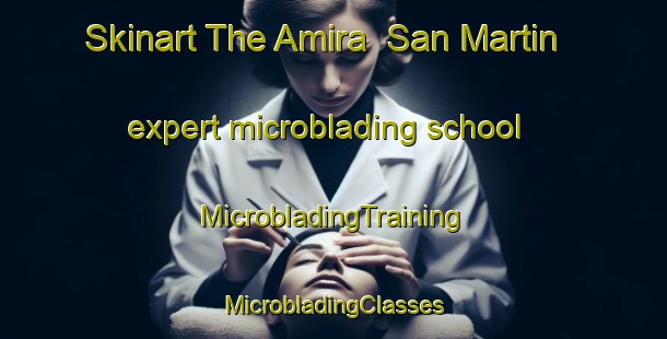 Skinart The Amira  San Martin expert microblading school | #MicrobladingTraining #MicrobladingClasses #SkinartTraining-Mexico